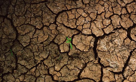 El cambio climático empujará a casi seis millones de niños y jóvenes a la pobreza en América Latina